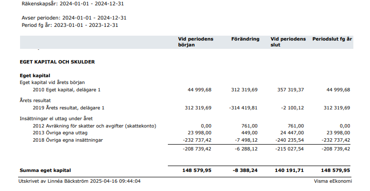 Skärmbild balansräkning 2024 skicka.png