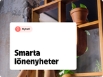 Smarta lönenyheter.png