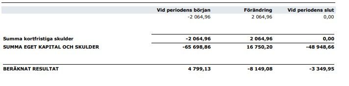 Skärmbild 2025-07-02 101724.jpg