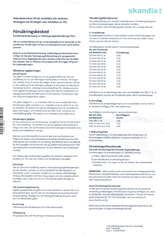 Skärmbild 2025-10-02 082158.png