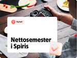 nettosemester.png
