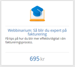 expert fakturering.PNG