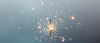 Photo.png