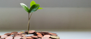 Träd och pengar.png