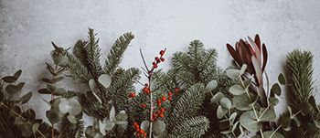julen_blommor_350x151.jpg