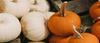 Photo (34).png