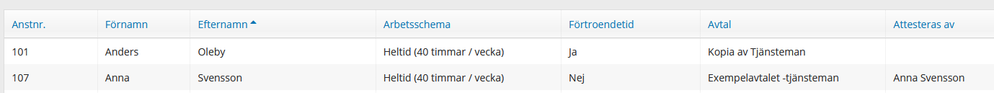 anställda lista.PNG