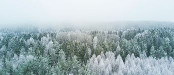 Photo (49).png