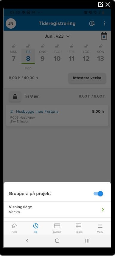 visningsläge.jpg