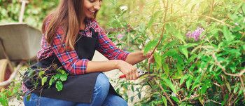 iStock-487383650.jpg