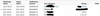Skärmklipp 2021-08-10 16.20.08.png