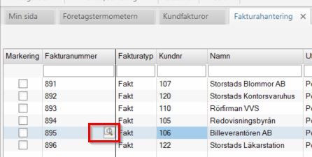 Förstoringsglas.jpg