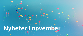 Photo (7).png
