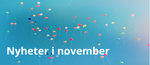 Photo (7).png