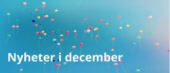Photo (8).png