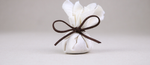 litet paket 350x151.png