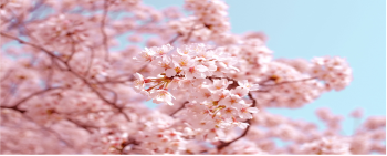 April+maj forumet .png