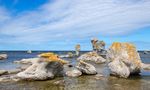 shutterstock_1579024312.jpg