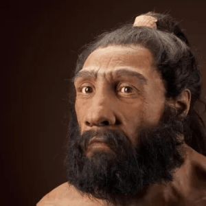 6c1a3815_o.gif