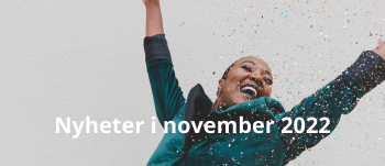 nytt i nov.png