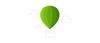 ballong grön 350x151.jpg