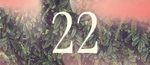 22 (1).jpg