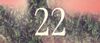 22 (1).jpg