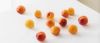 VISMA_PEACHES_AND_CREAM.jpg