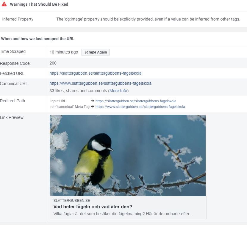 Såhär föreslår verktyget debugger i facebook att sidan ska visas vid länkning. Men finns en varning jag inte förstår