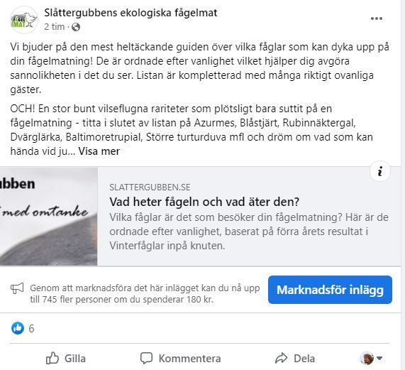 Så här blir inlägget med den fina talgoxen i verkligheten, först ser det verkligen snyggt ut på förhandsvisningen när jag skapar inlägget. Men i praktiken slutar det med att det blir så här. Då har jag ändå ändrat den är bilden på talgoxen nu så att den är exakt 1200*628 bildpunkter