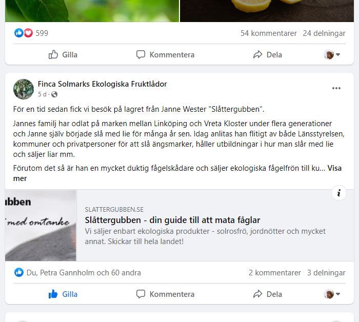 Och så här blir det när någon länkar till vårt fina företag på facebook. Den väljer ett litet utsnitt av  sidhuvudbilden kapat sjukt osnyggt......