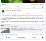 Och så här blir det när någon länkar till vårt fina företag på facebook. Den väljer ett litet utsnitt av  sidhuvudbilden kapat sjukt osnyggt......