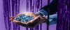 VISMA_HANDS_DISCOKULOR.jpg
