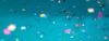 eE10ar_350x151.jpg