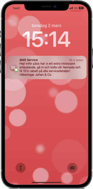 SMS Service 72dpi.png
