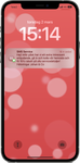 SMS Service 72dpi.png