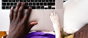 VISMA_COMPUTER_DOG.jpg