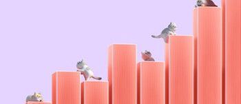 VISMA_CATS_STAPLAR.jpg