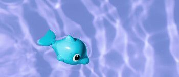 VISMA_DOPLPHIN.jpg