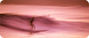 surf_red.png