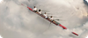 flyganderodd.png