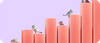 VISMA_CATS_STAPLAR.png